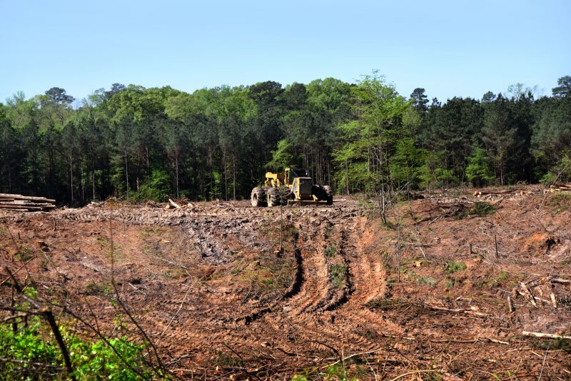 Farm Clearing in Marietta, GA