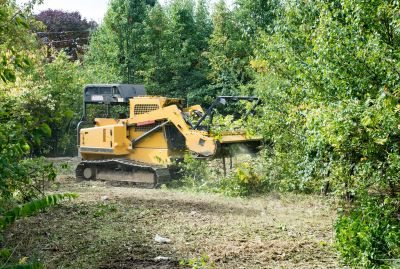 Site Clearing Service in Houston, TX