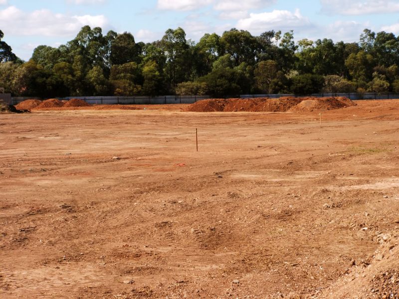 Site Preparation Service in Houston, TX